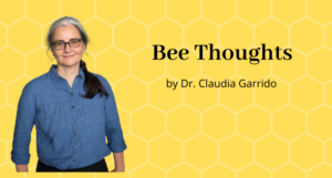 sustainable beekeeping