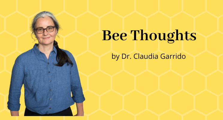 sustainable beekeeping