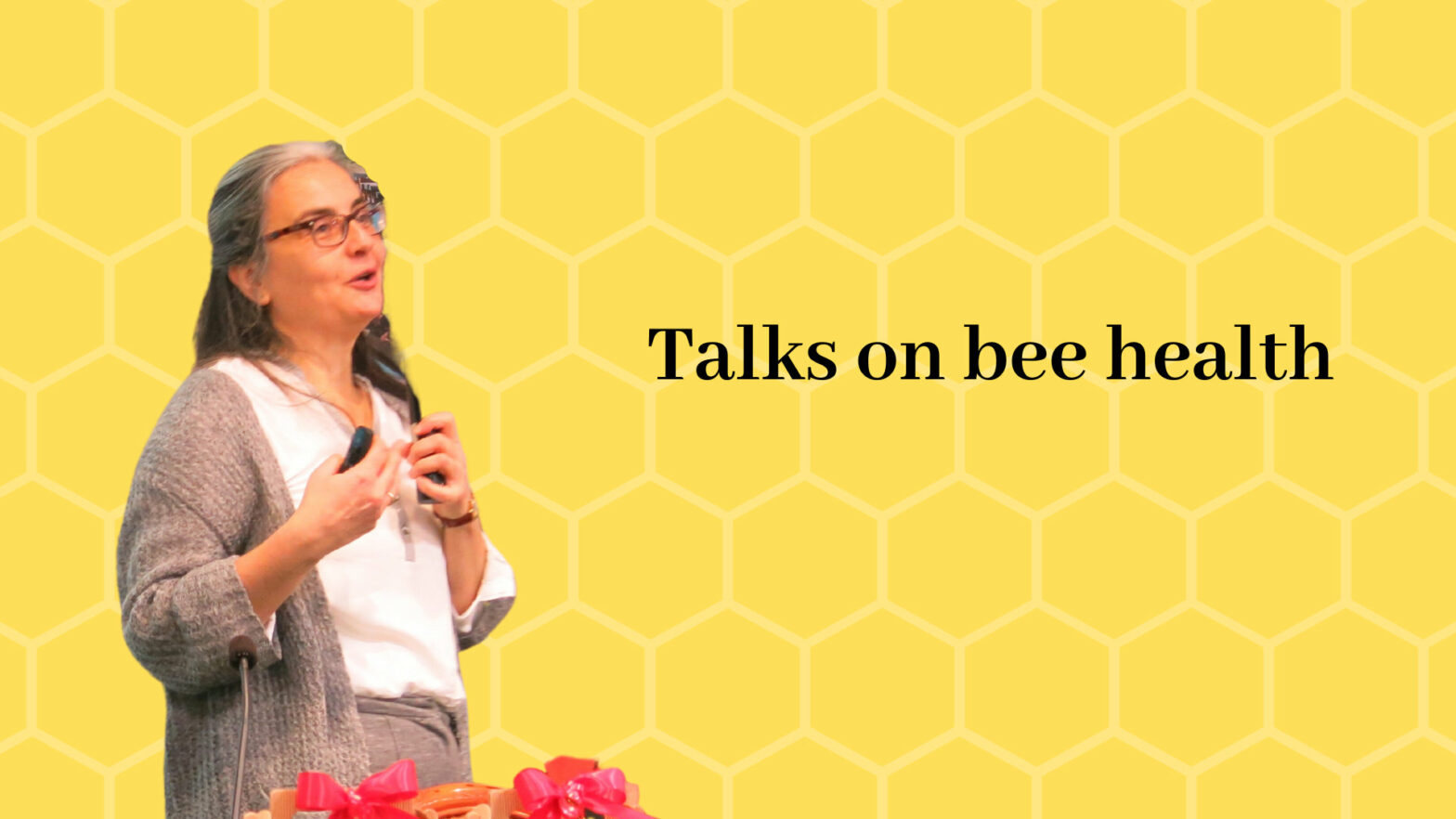 Talks on bee health