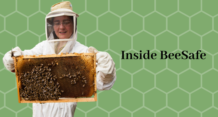 EFSA guidance on bees